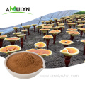 Ganoderma lucidum extract Reishi mushroom extract powder